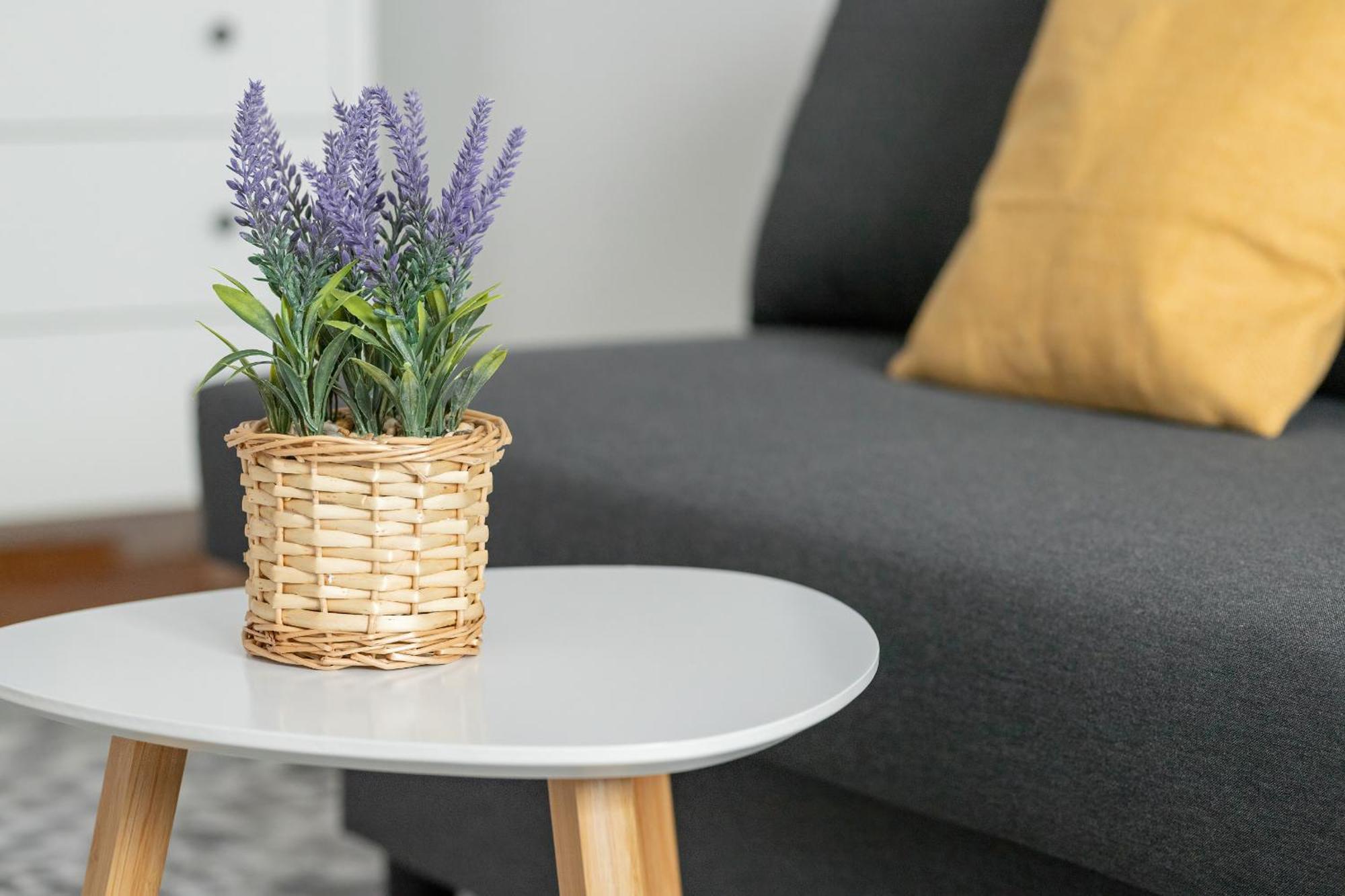 Apartament Na Przymorzu Z Dwiema Sypialniami By Renters Gdansk