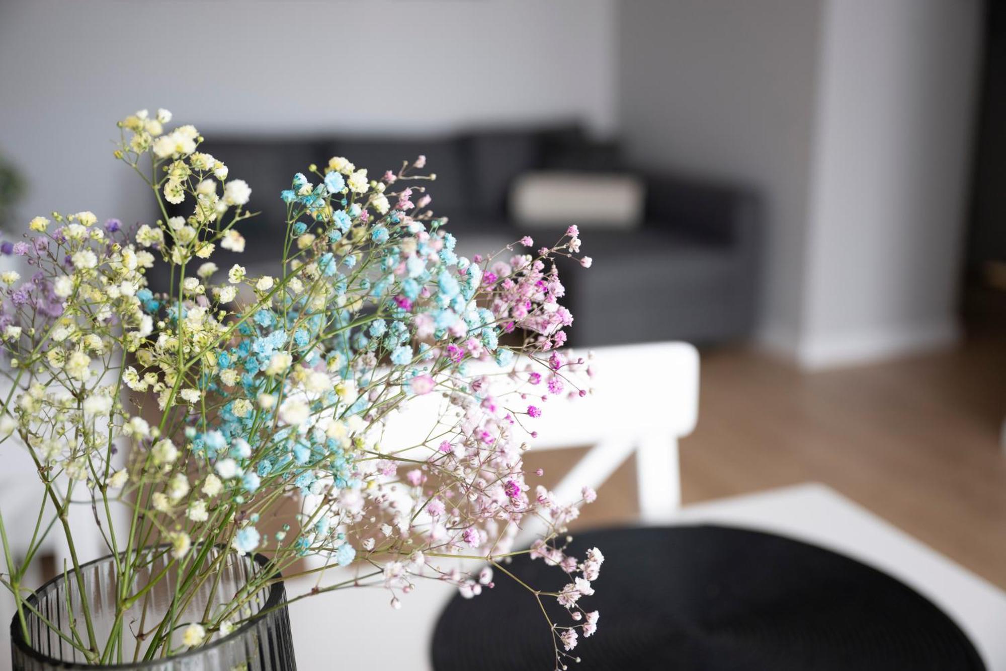 Apartamenty Deluxe Huoneisto