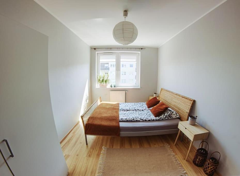 Cozy Kielpinek