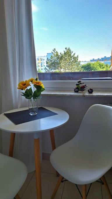 Apartament 101 Apartment *