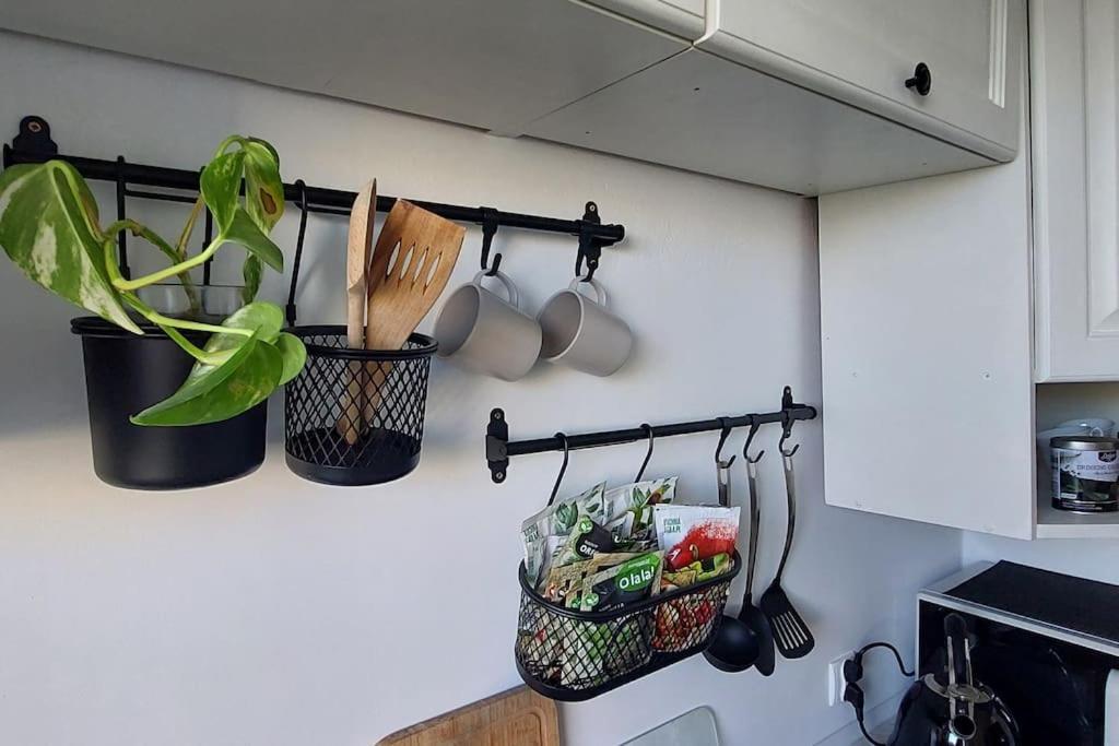 Apartament 101