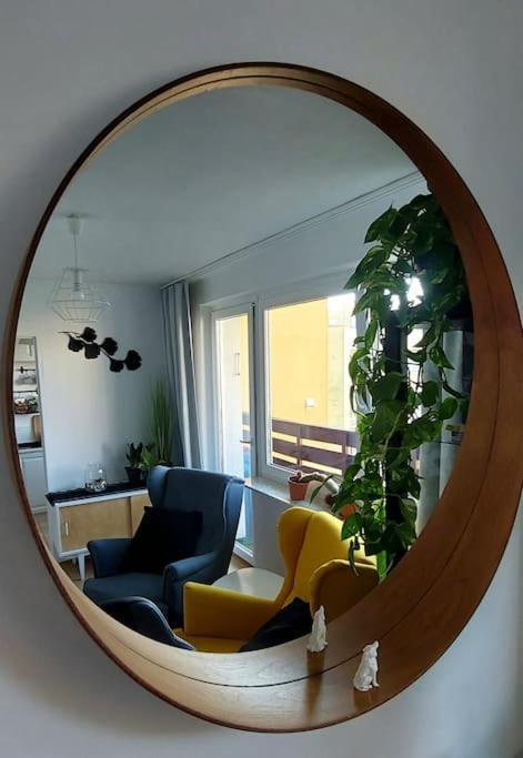 Apartment Apartament 101