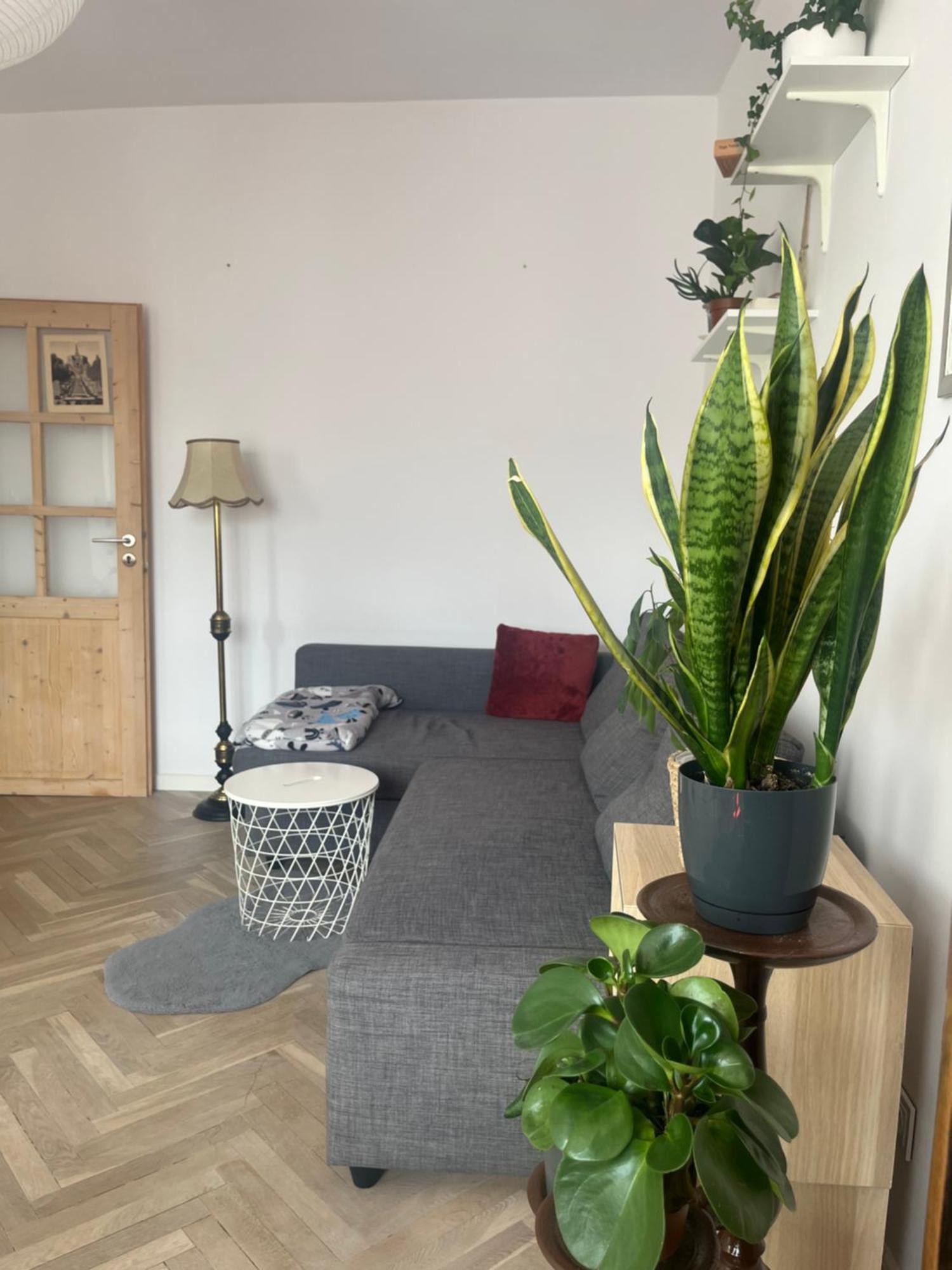 Przytulne 2 W Gdansku Apartment *