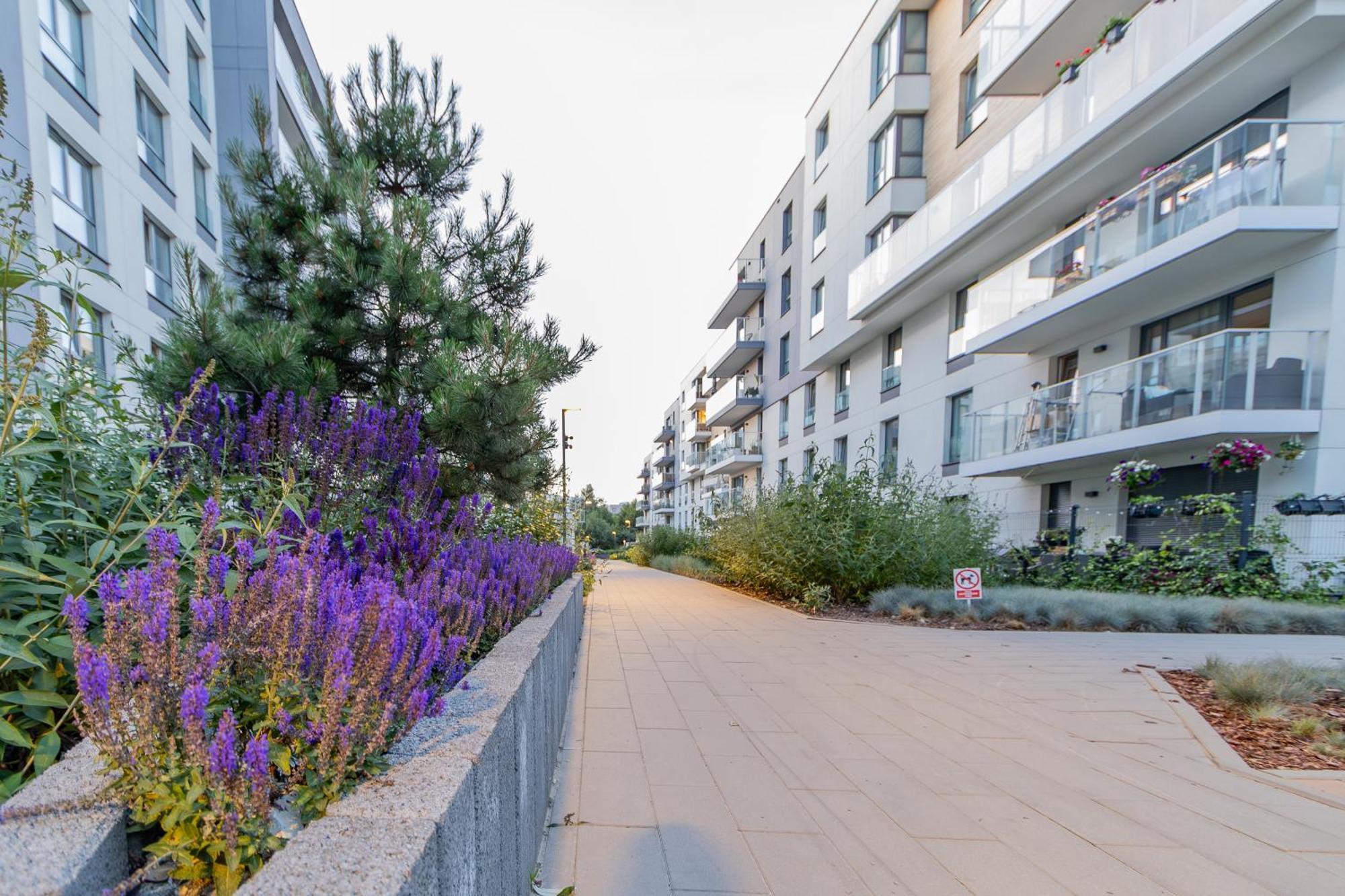 Glow Apartments, Letnica - Szesc Letnica