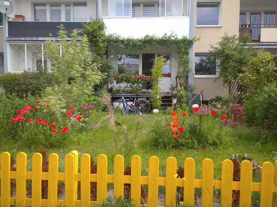 Apartment Przestronne Mieszkanie Przyjazne Dzieciom I Zwierzetom *