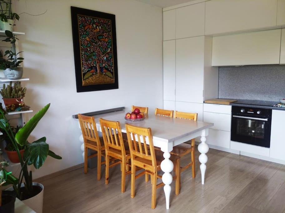Przestronne Mieszkanie Przyjazne Dzieciom I Zwierzetom Apartment