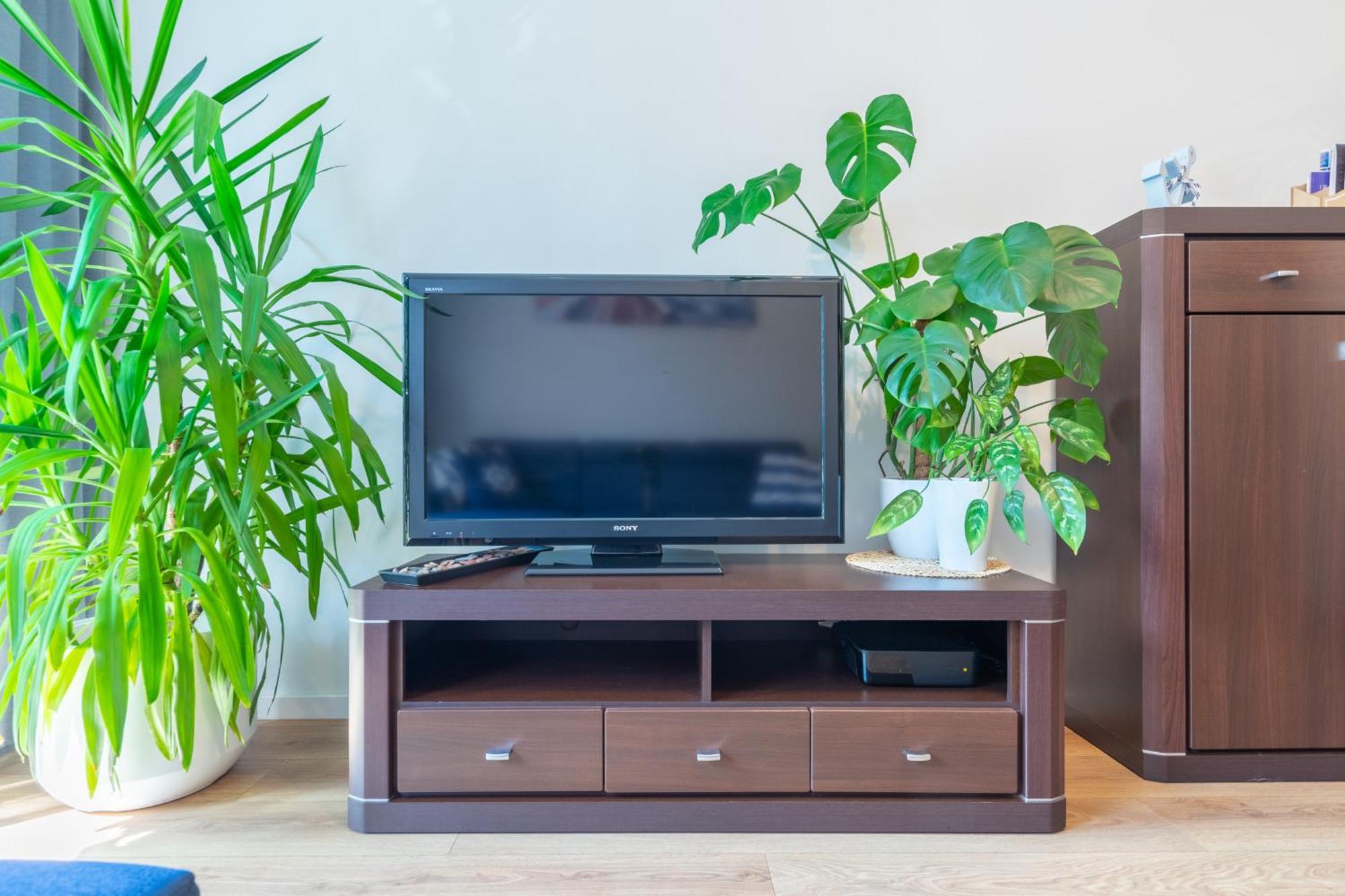 Apartament Anchor Przymorze