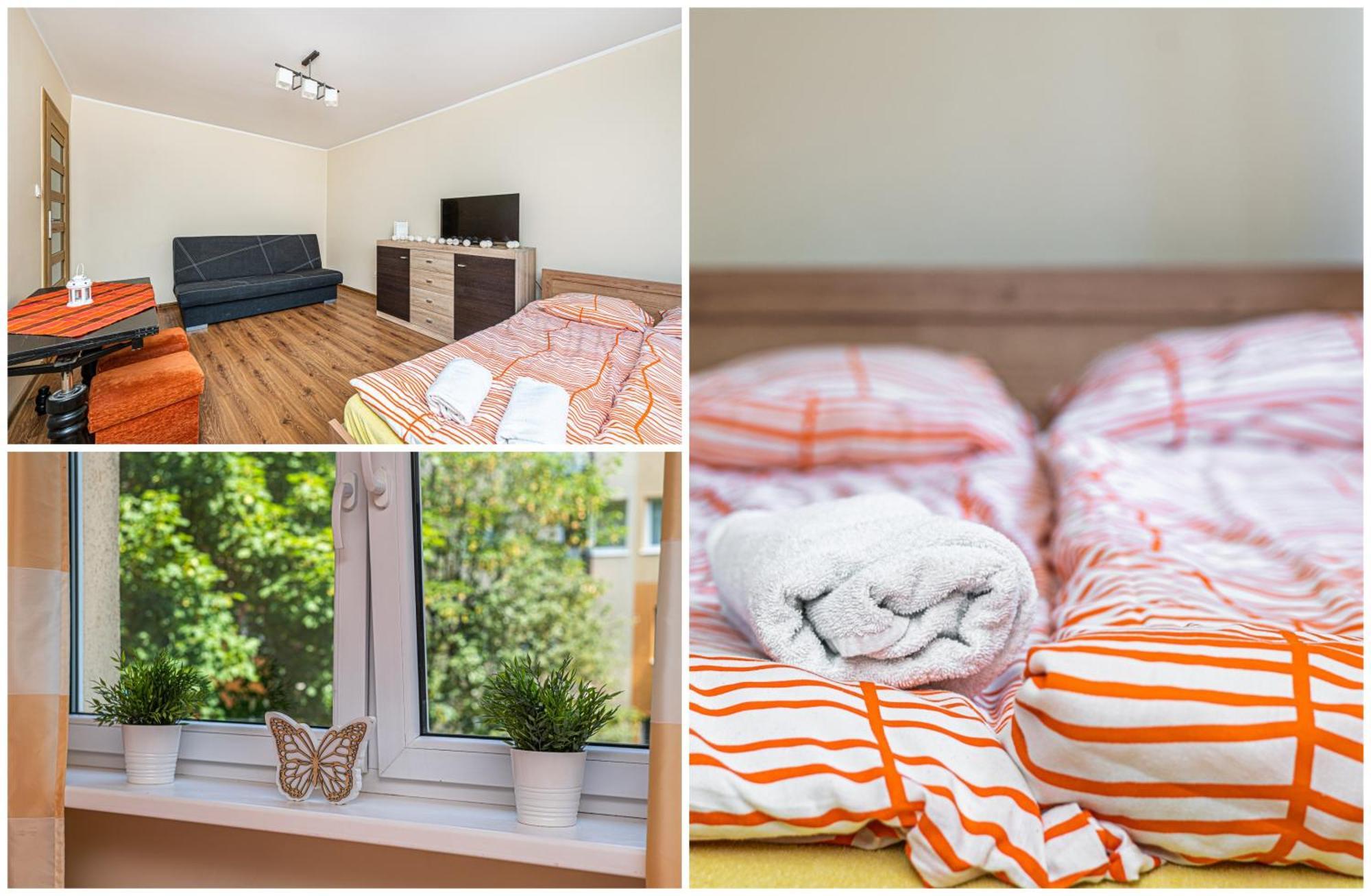 Apartament Orzel *