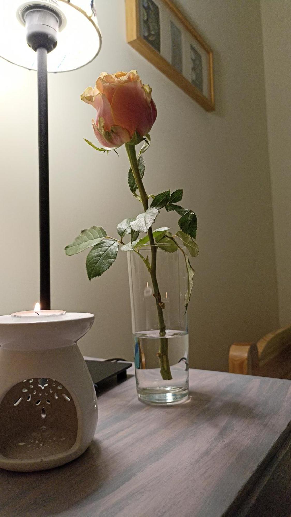 Apartamento Katarzynka Stare Gdańsk