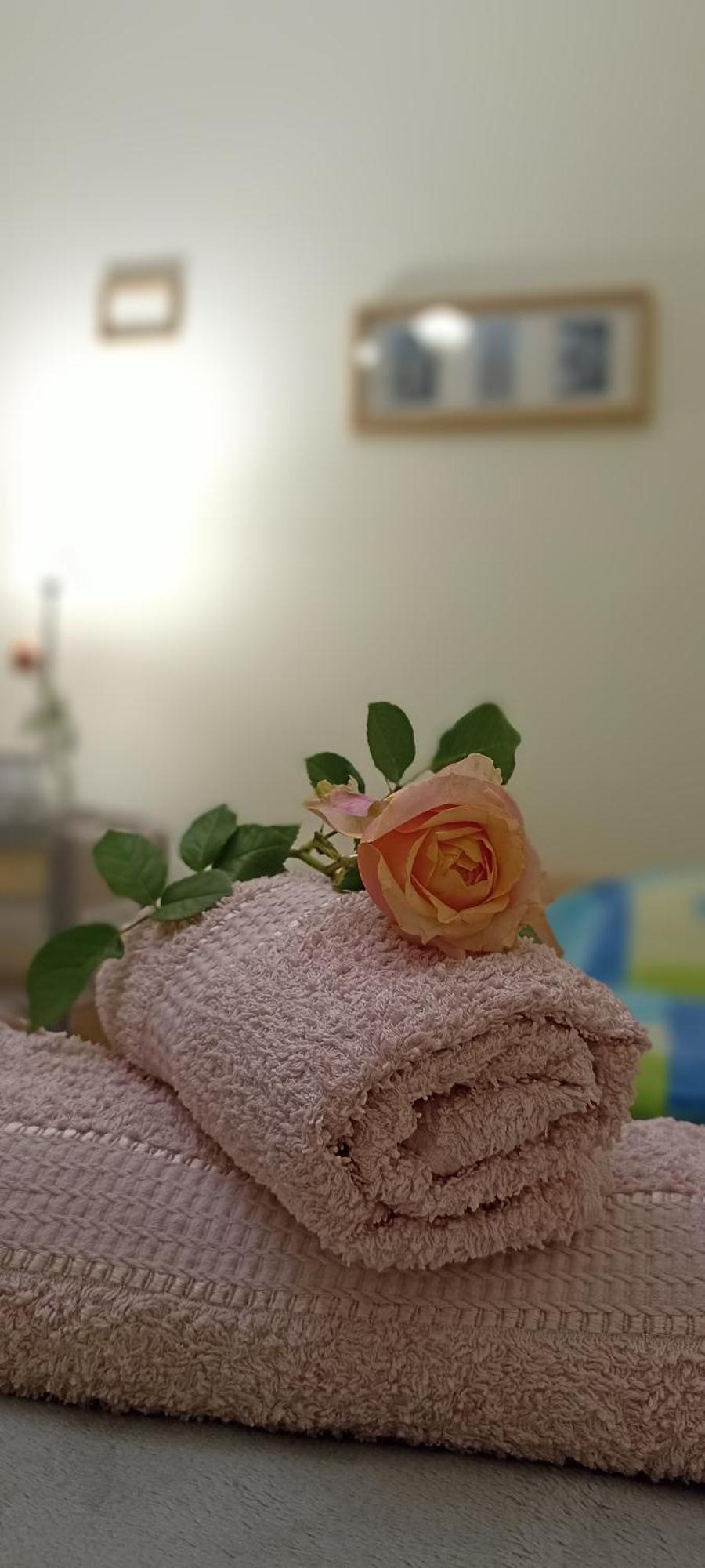 Apartamento Katarzynka Stare Gdańsk