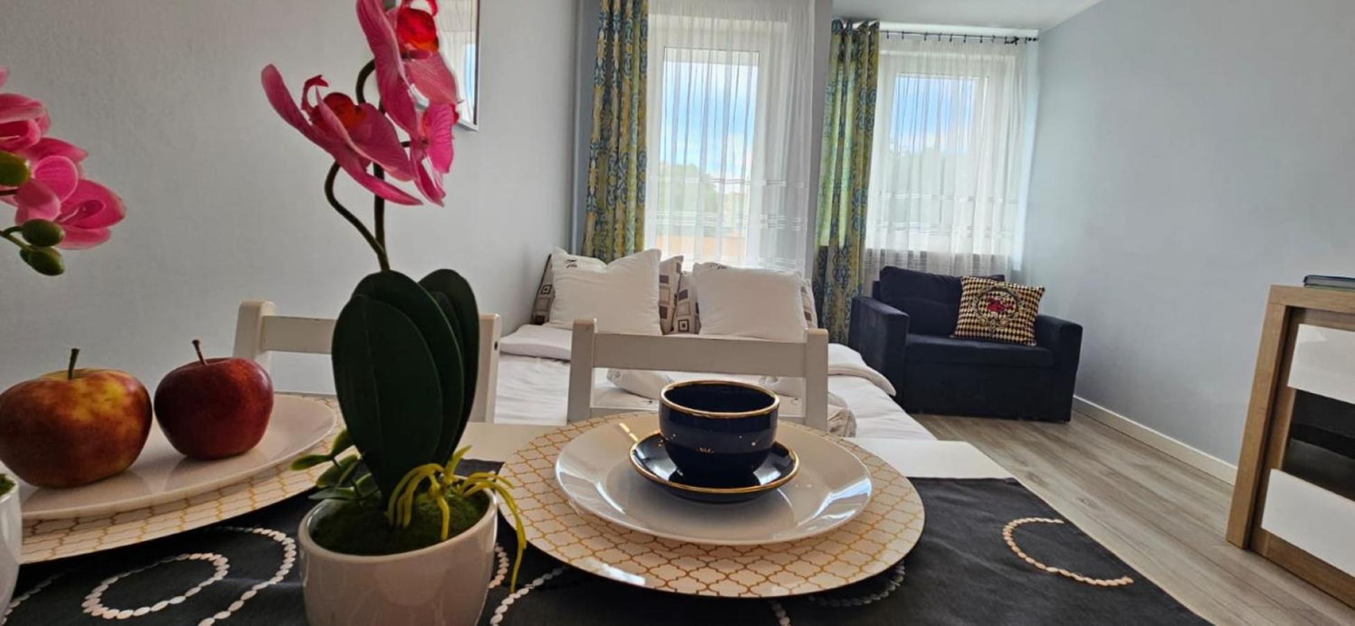 Apartment Dworska 33 *