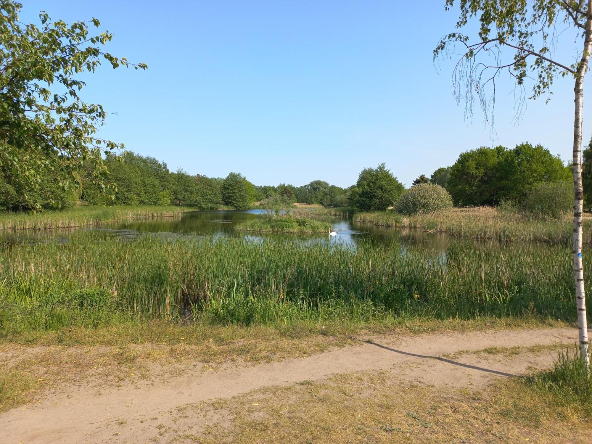 2-room-flat At The Lejlighed *
