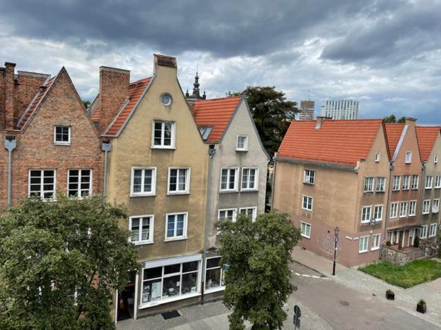 Lion Apartments- Old Town Loft Apartament Gdańsk