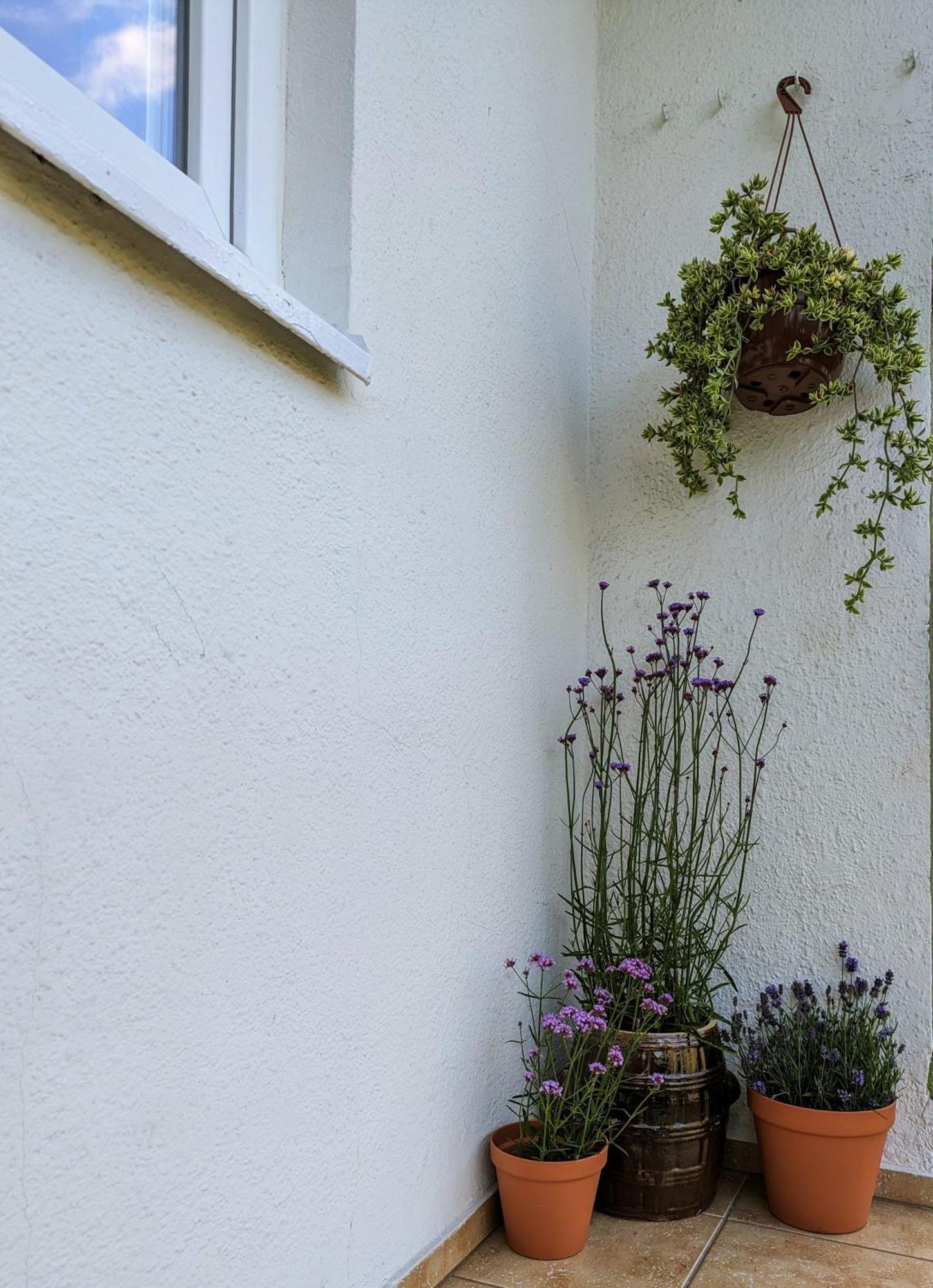 Lägenhet Apartament Zacisze