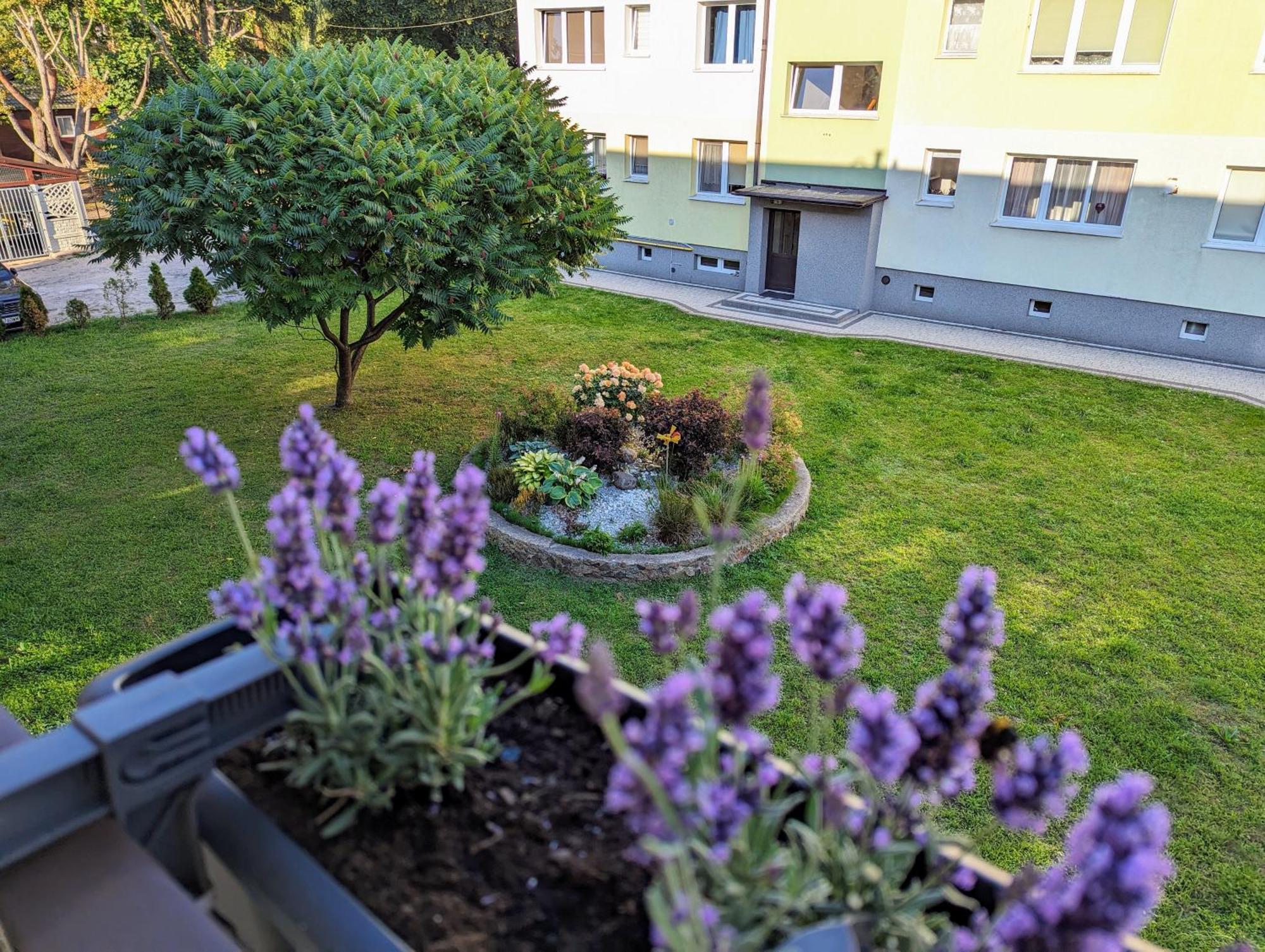 Apartament Zacisze Apartment Gdansk