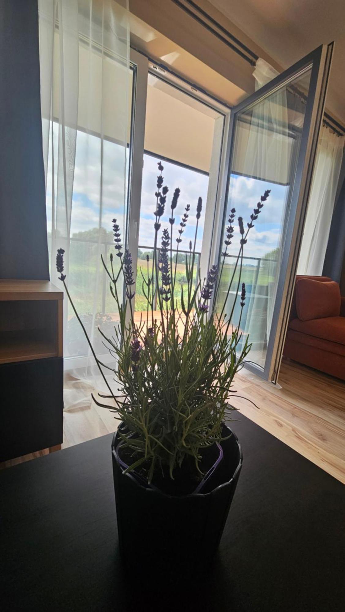 Apartament M&k Ptasi Raj - Wyspa Sobieszewska *