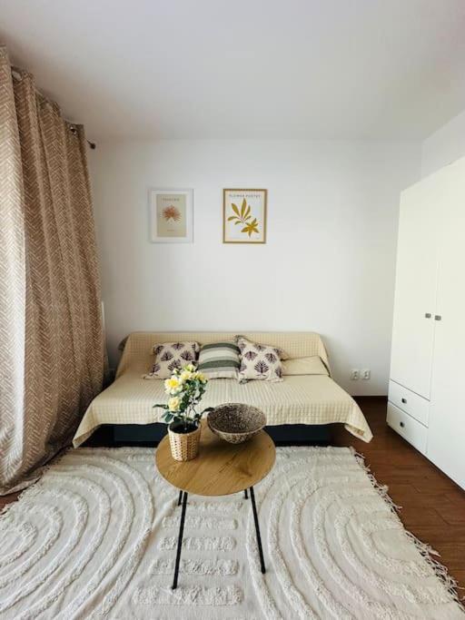 Studio Mysliwska Park Boho *