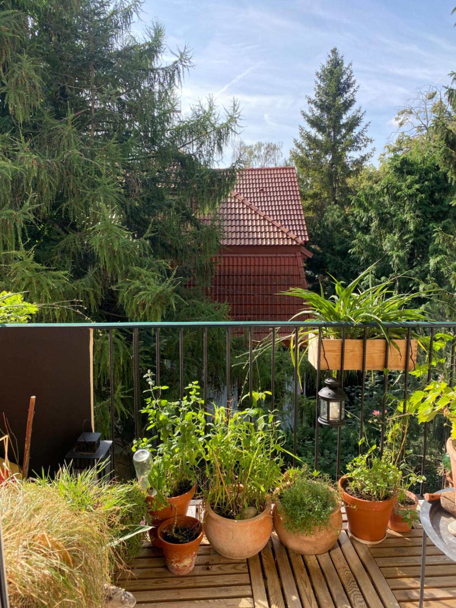 Apartament House Oliwa