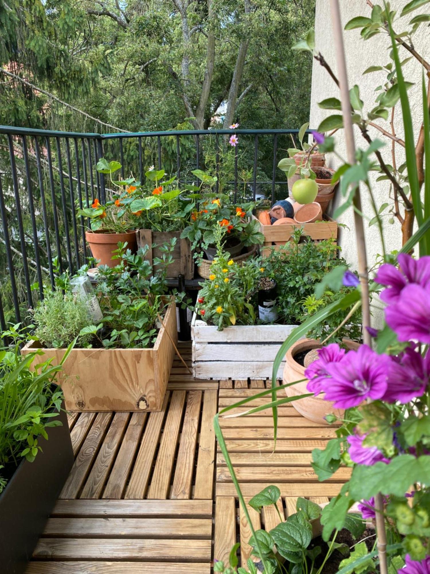 Apartament House Oliwa *