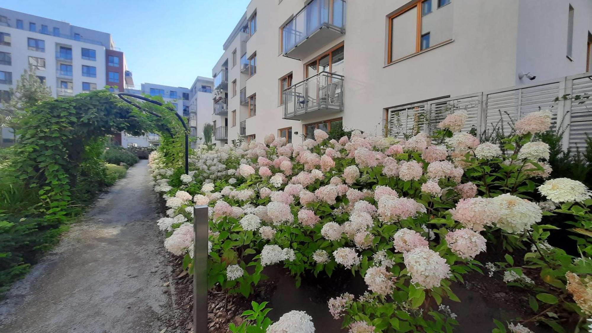 Osiedle Garnizon Apartment
