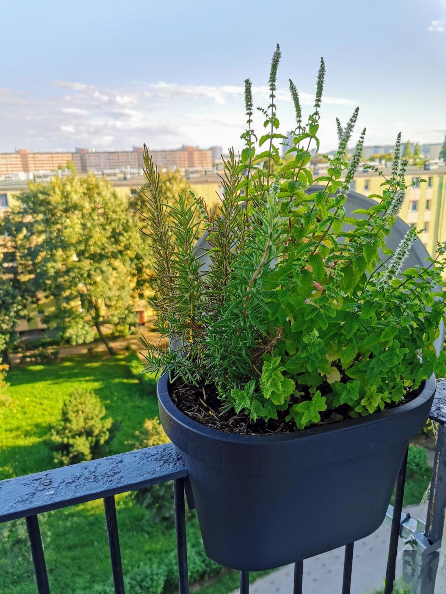 Jagiellonska Blisko Galeria Przymorze - Przymorze Apartament *