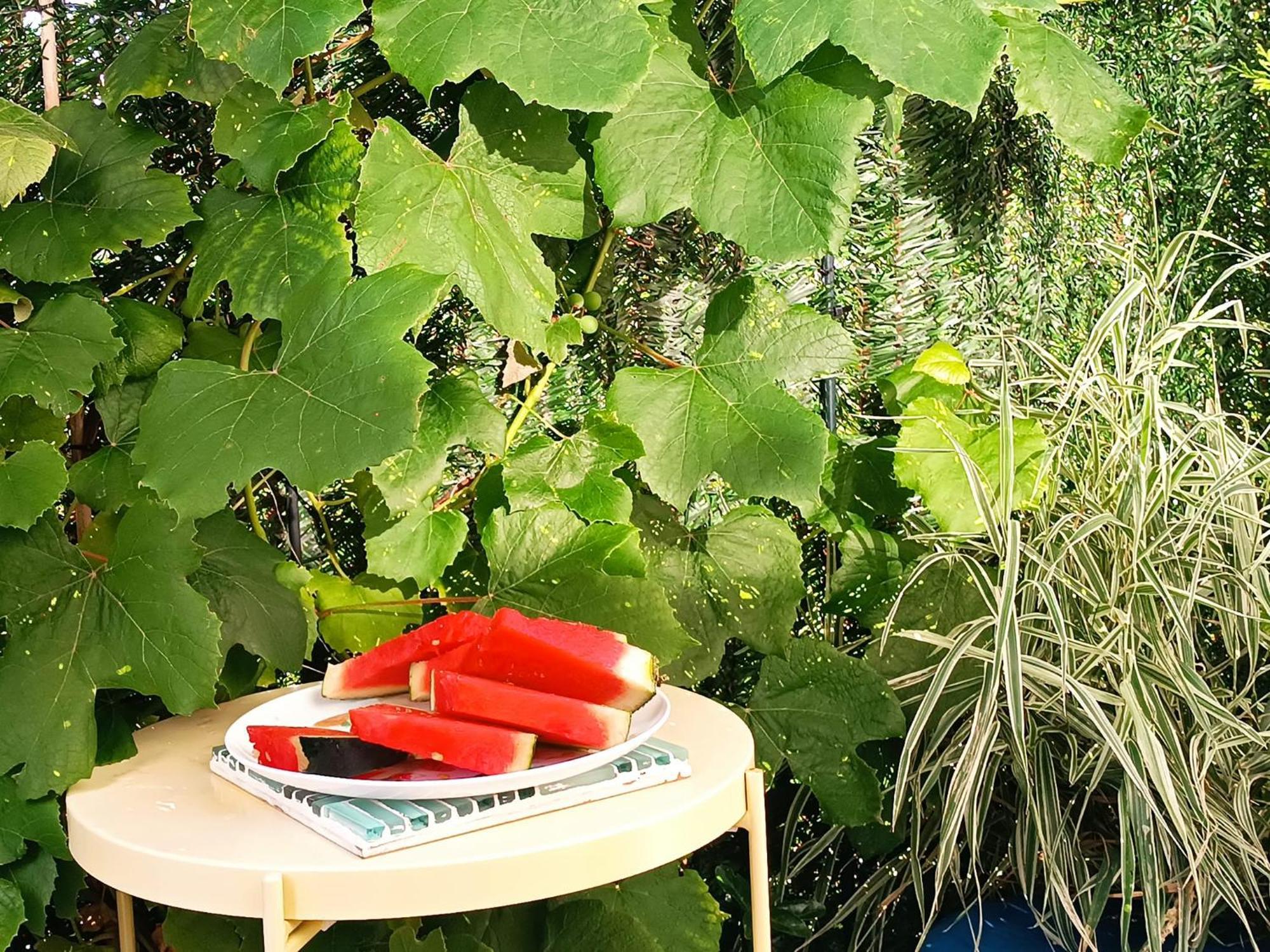 Apartment Sunny Place: Baltic With Garden On Sobieszewska Island *