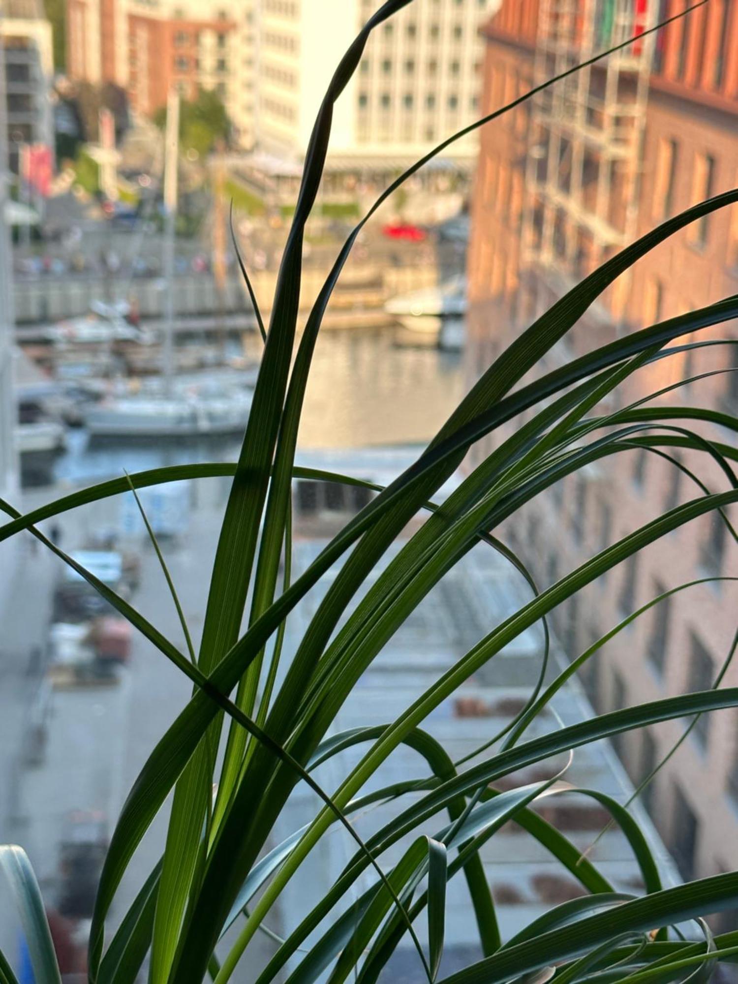 Lägenhet Baltic Riviera - Private Sauna Premium *
