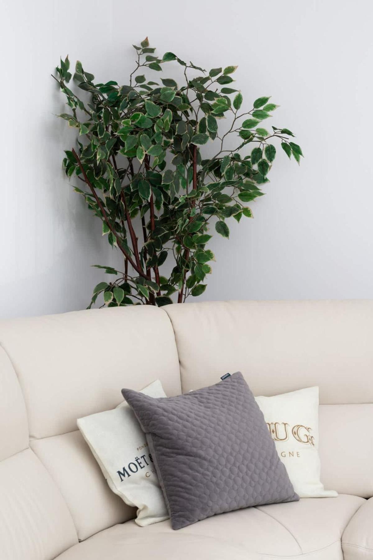 Spacious & Bright Family In By Renters *