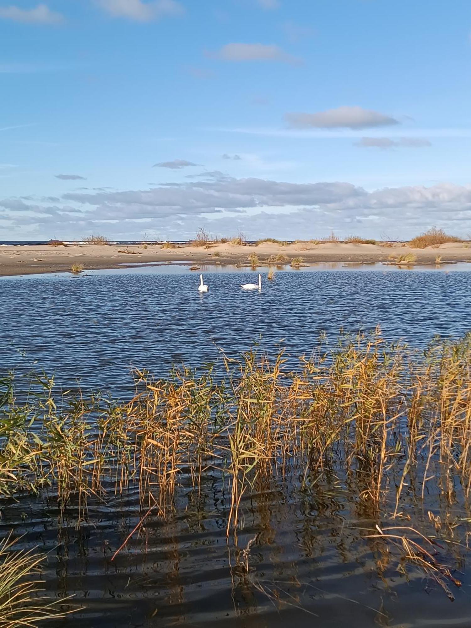 Sunny Place - Funny Place, Ze Slonecznym Ogrodkiem Na Wyspie Sobieszewskiej - Baltic Line Leilighet *