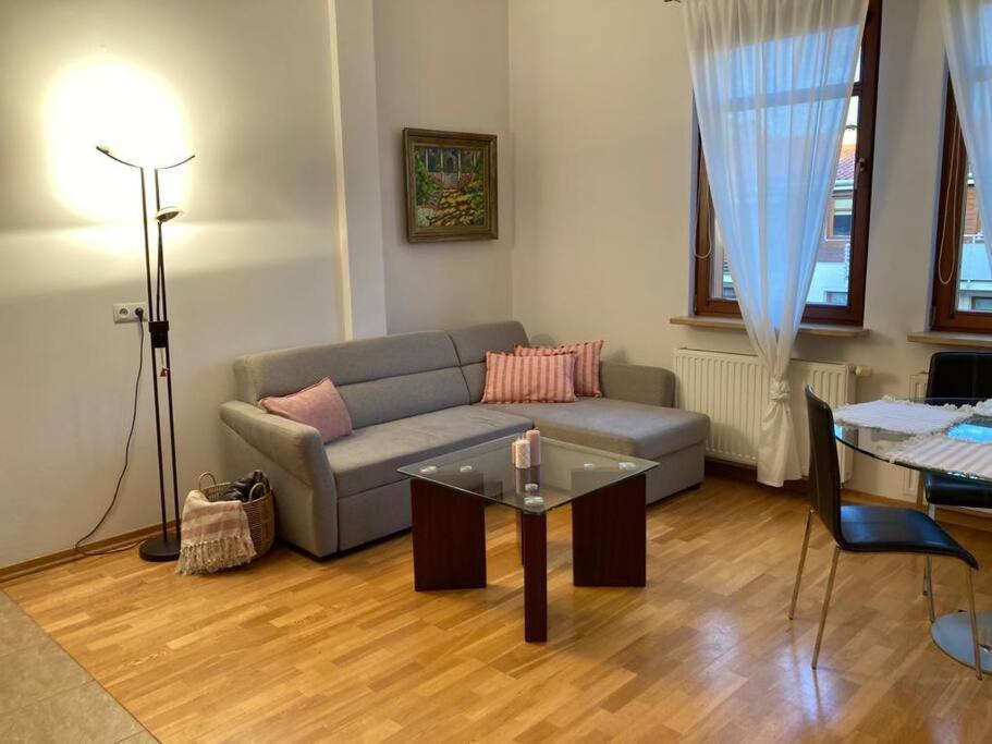 Neptun Park Jelitkowo Apartament Gdańsk