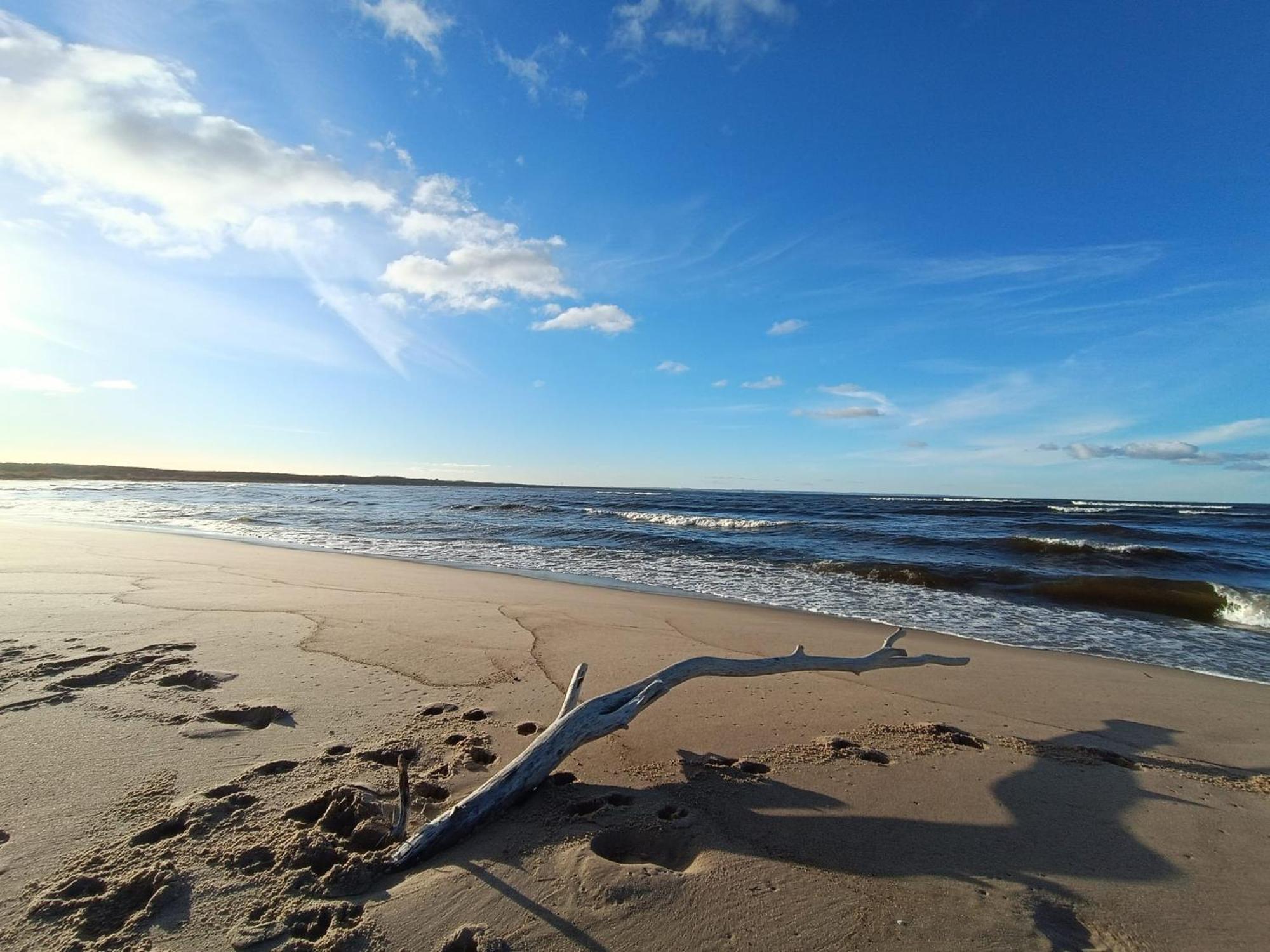 Apartment Sunny Place: Baltic With Garden On Sobieszewska Island