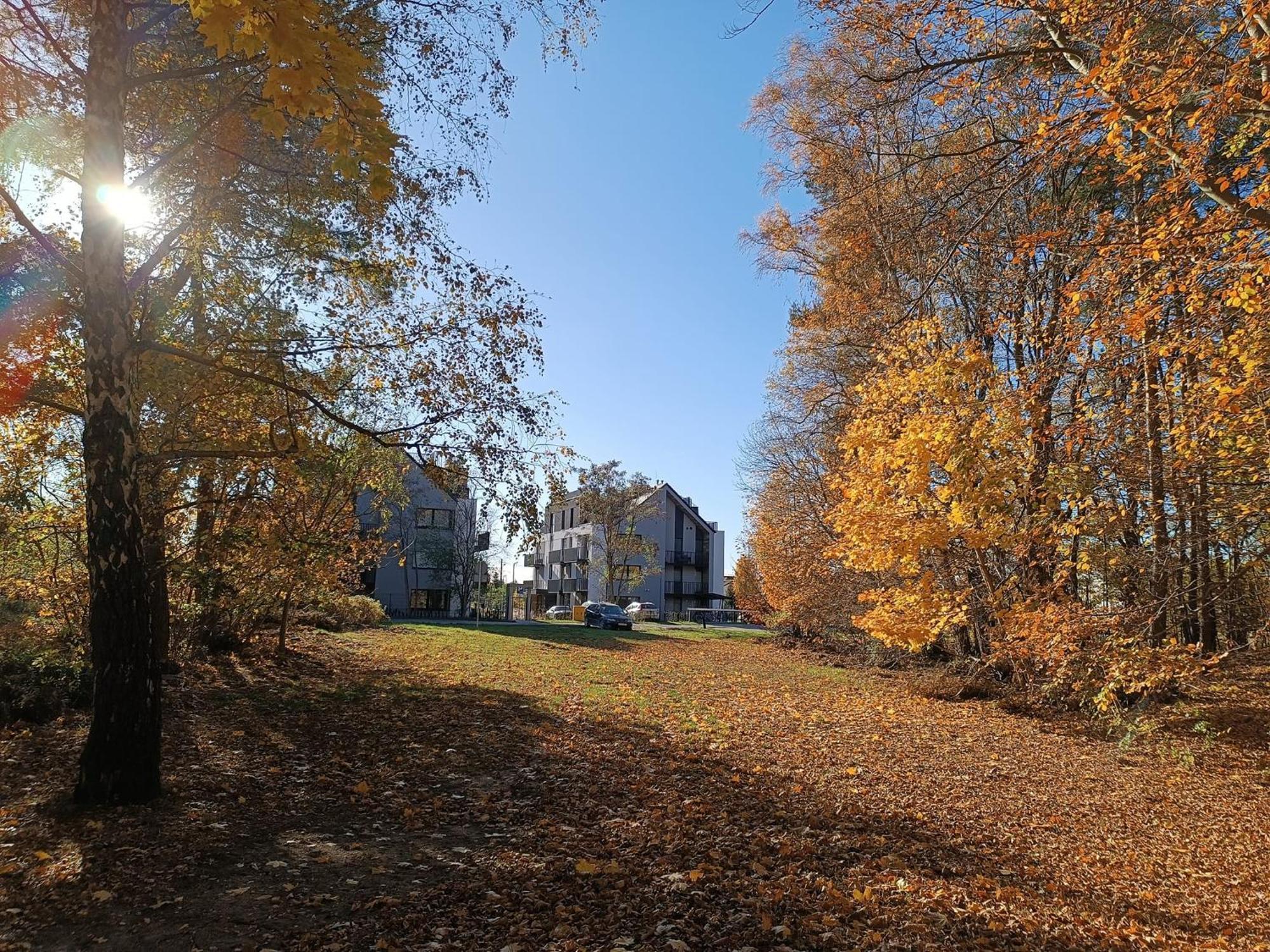 Sunny Place: Baltic With Garden On Sobieszewska Island *