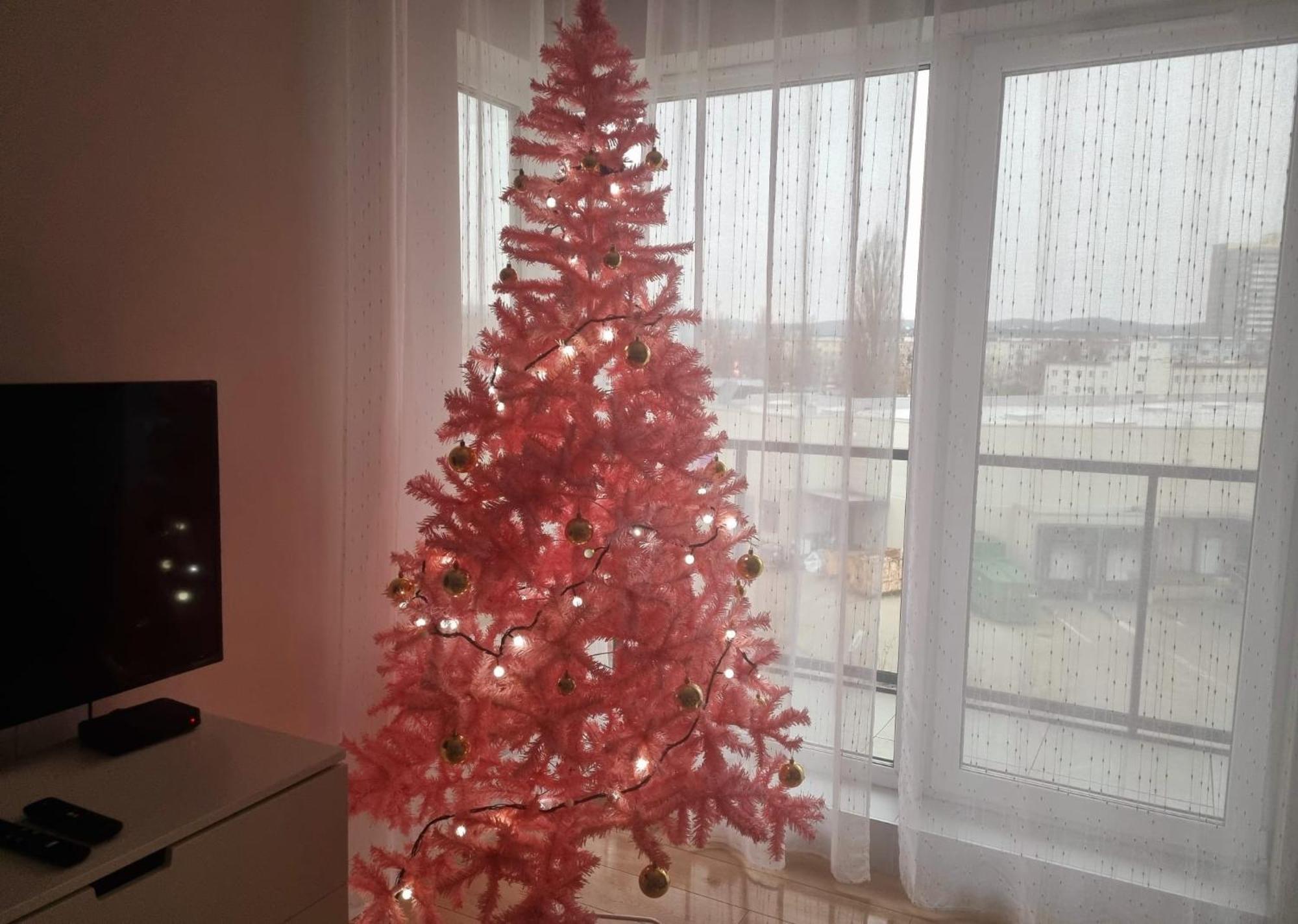 Mezzoapart Apartamento