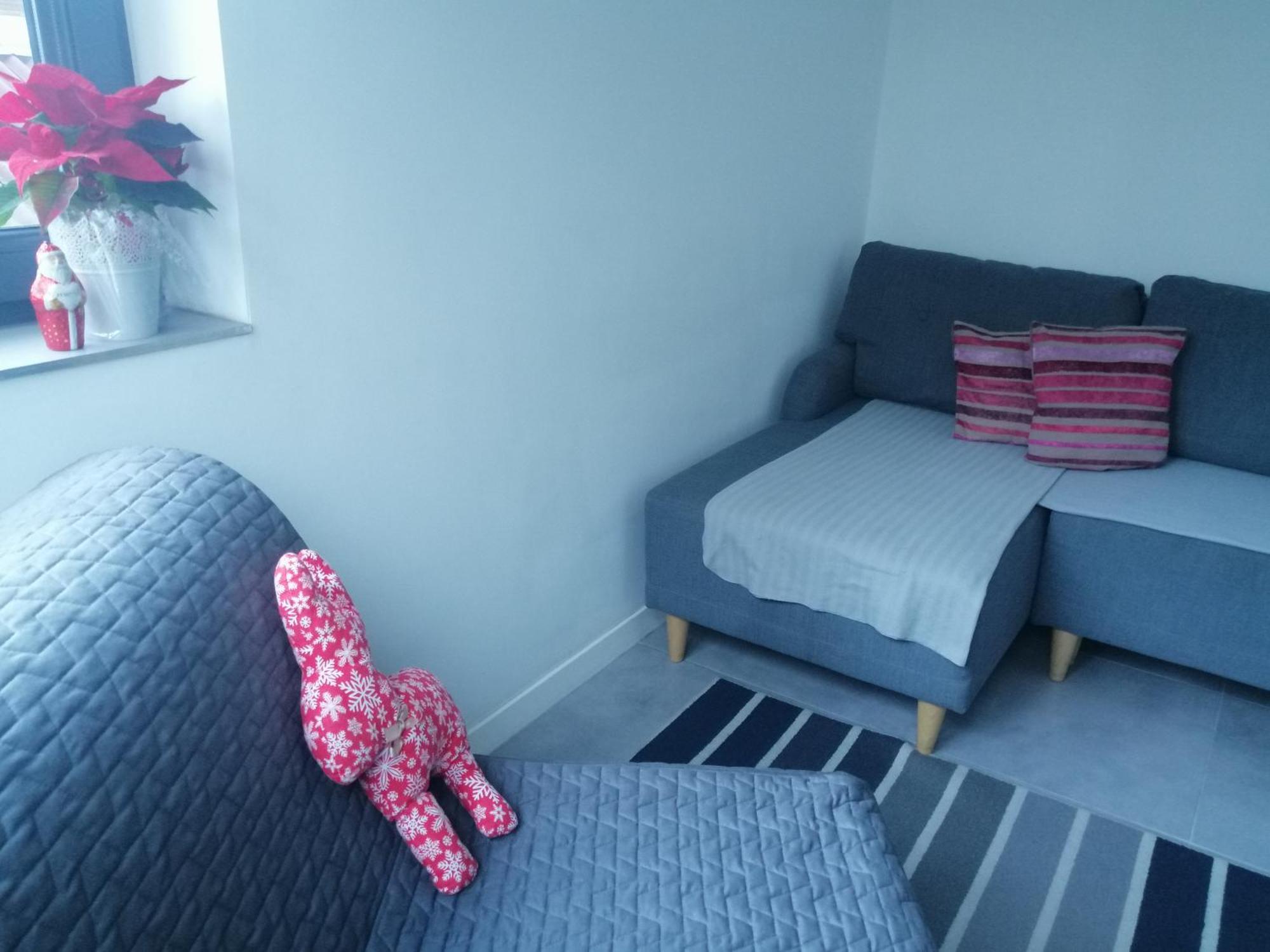 Homestay Centrum