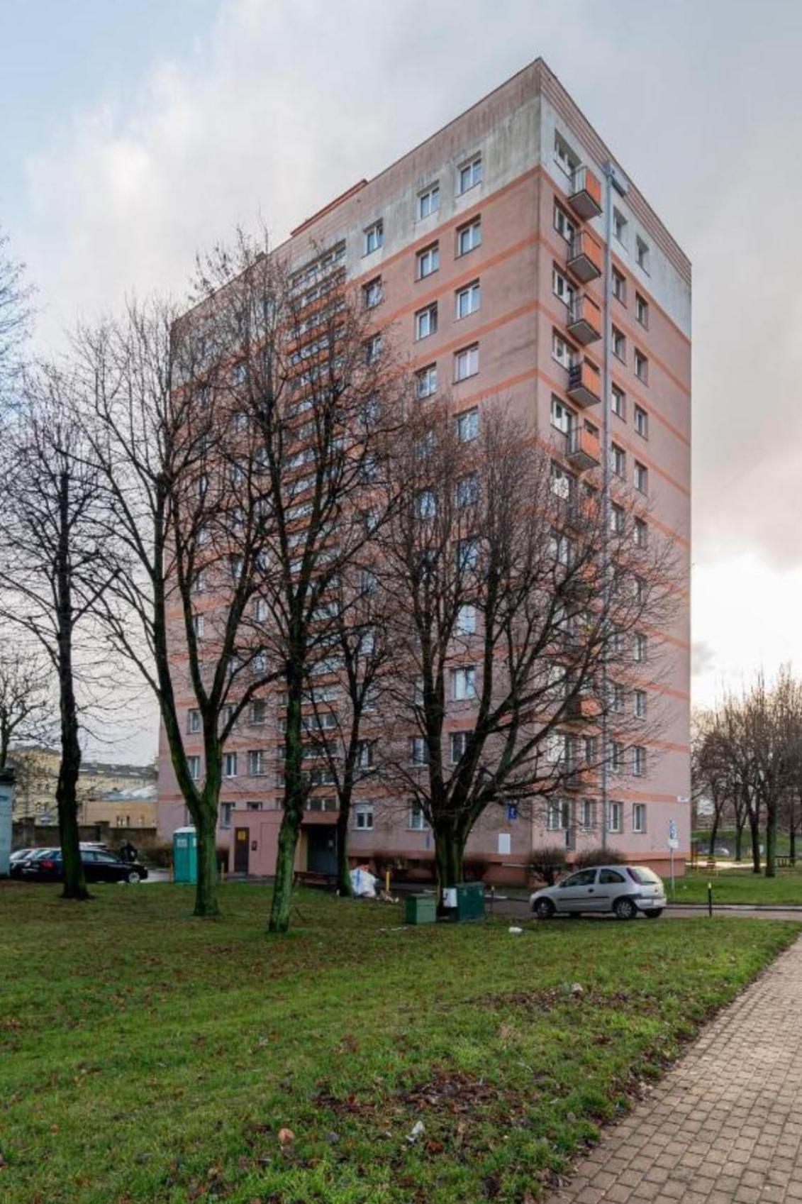 Forest In The - * Gdansk