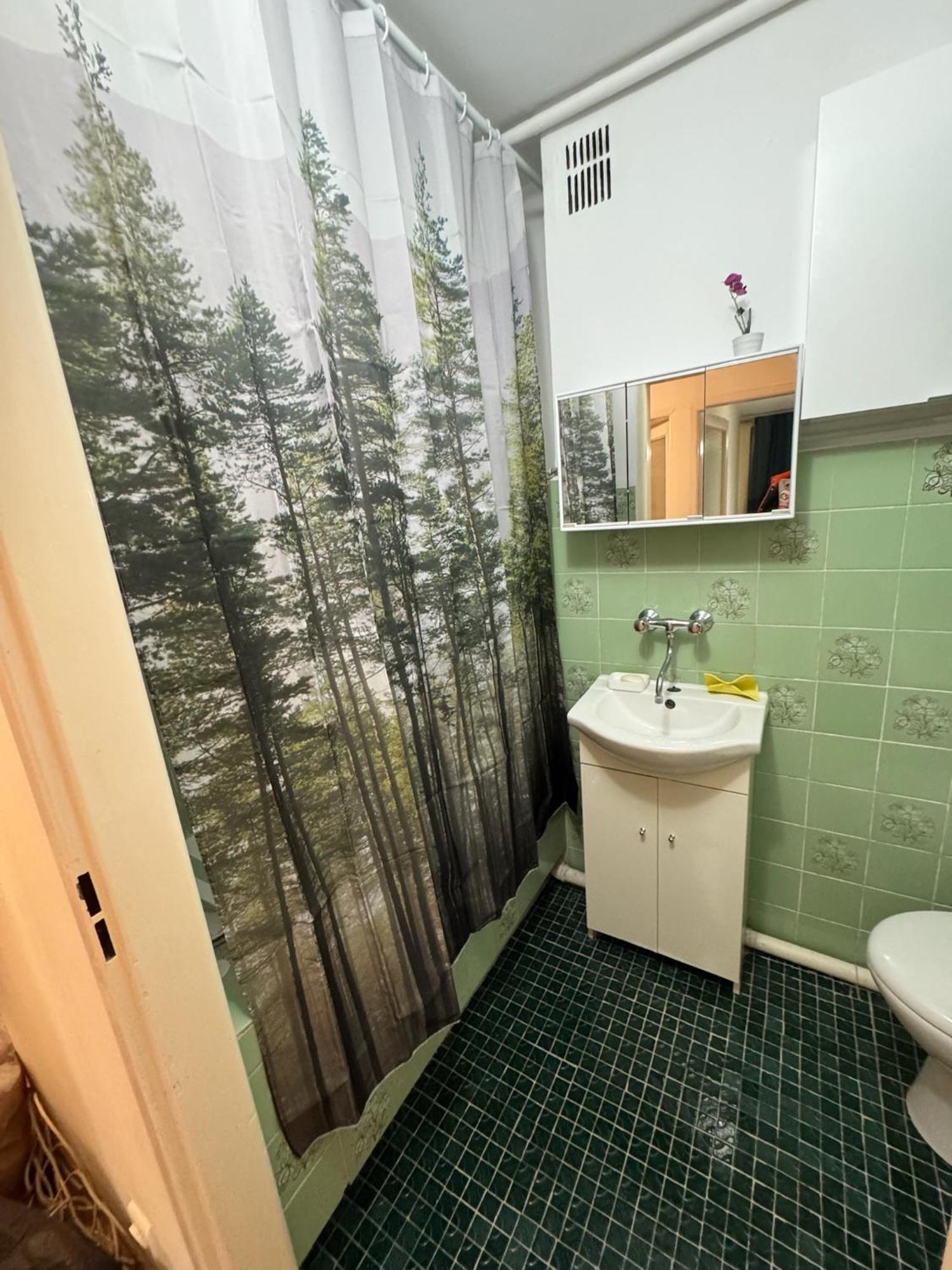 Forest In The -
