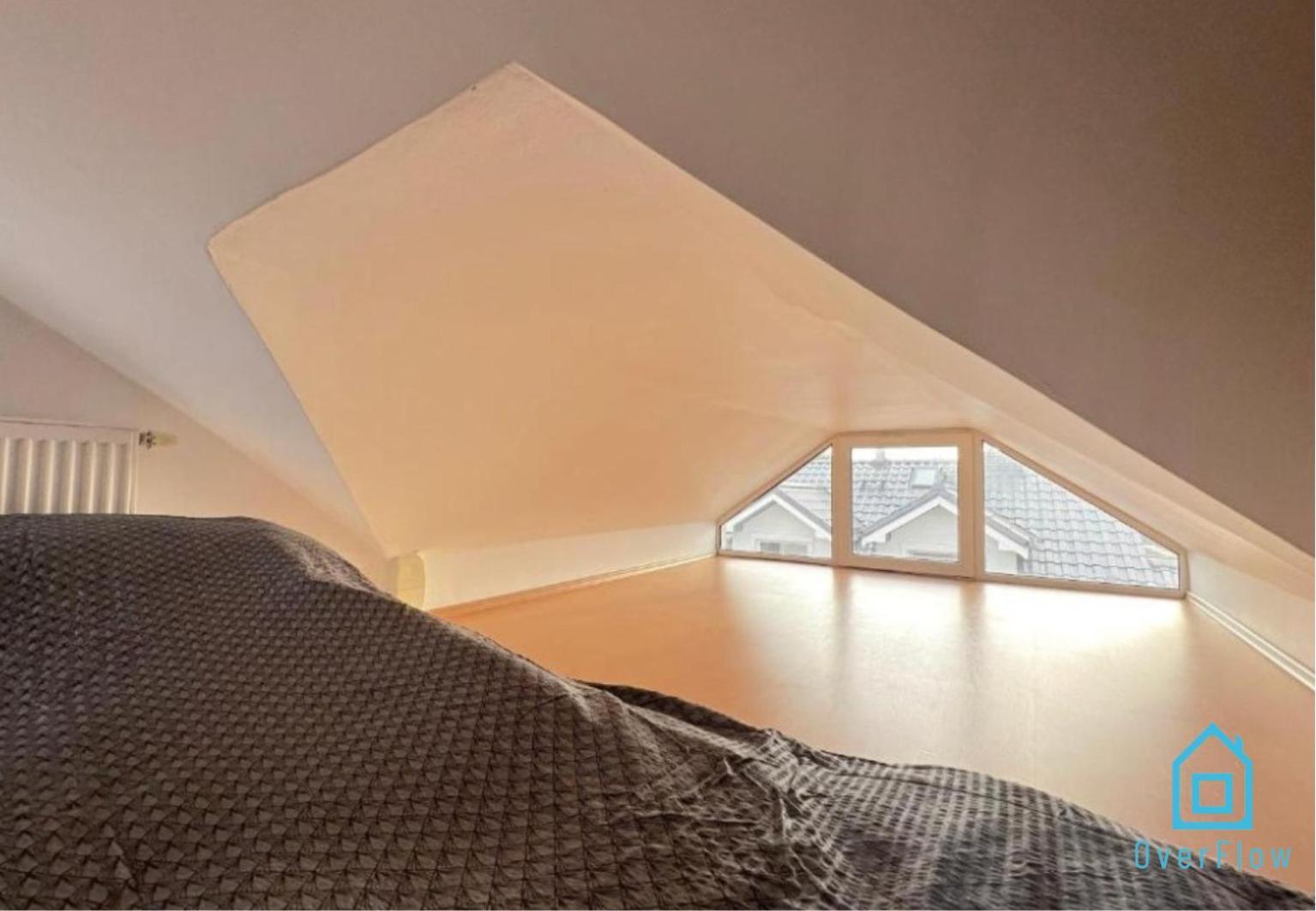 Homestay Attic