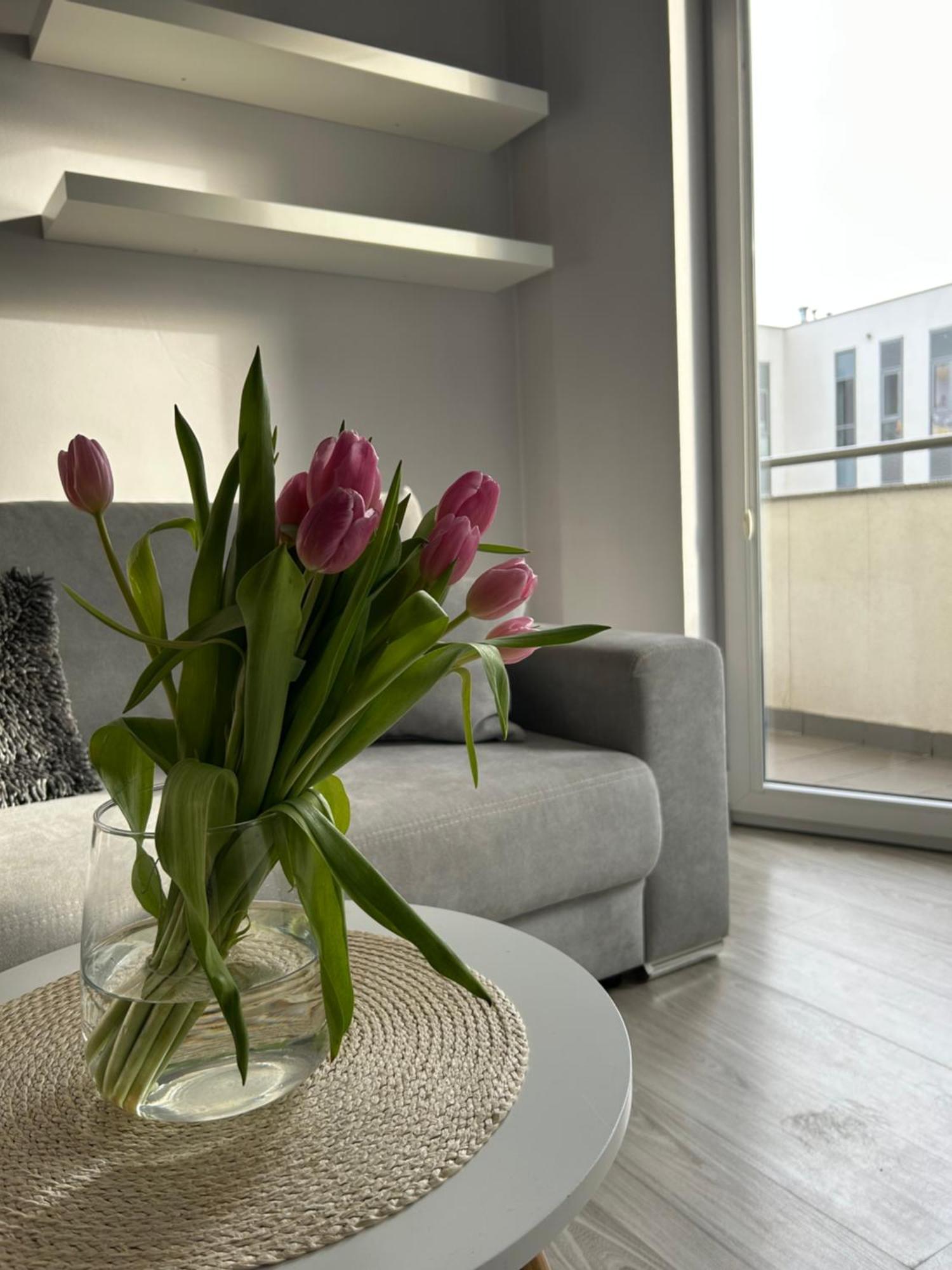 Sloneczne Przymorze Apartment *