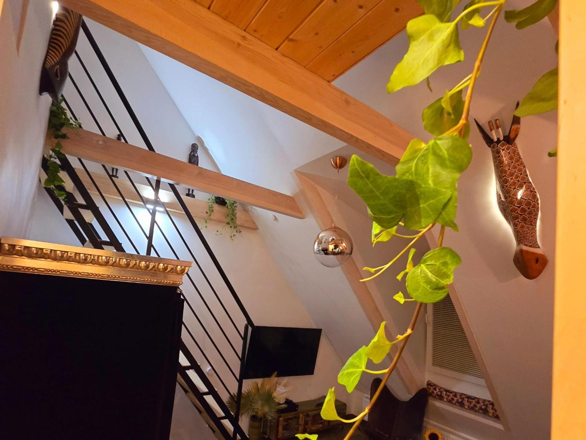 Lägenhet Lts Rent Luxury&comfortable Etno Loft Old Town Free Parking *