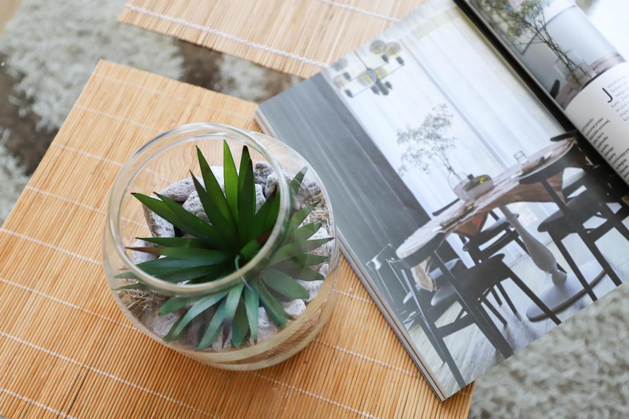 Marina Primore By Renters Apartment *