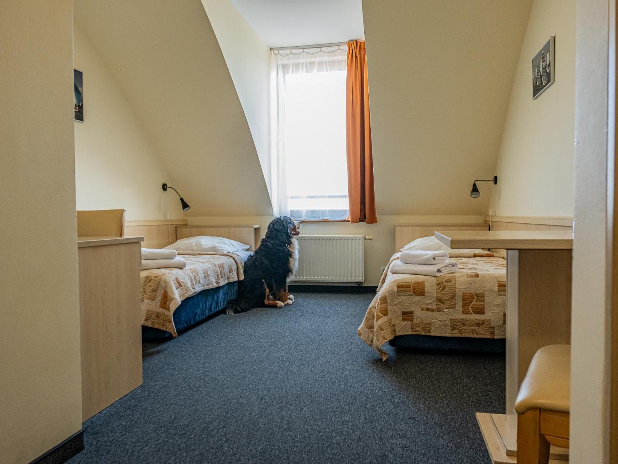 Hotel Galion