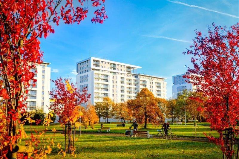 Aviator - Acco Rent * Gdansk