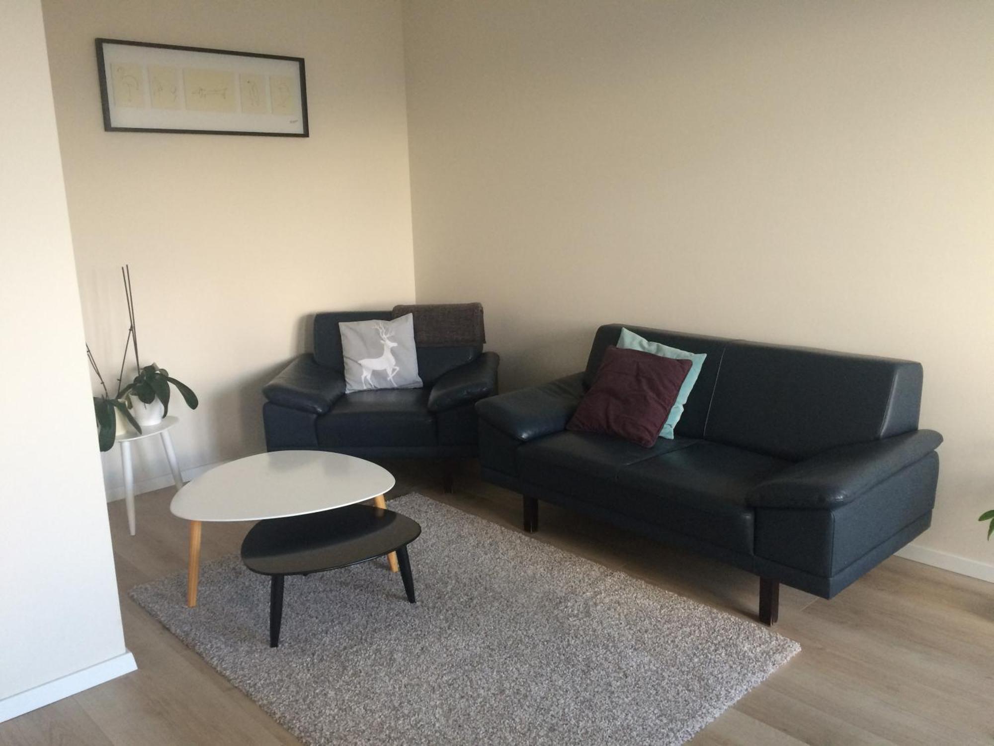 Aviator - Acco Rent Gdansk