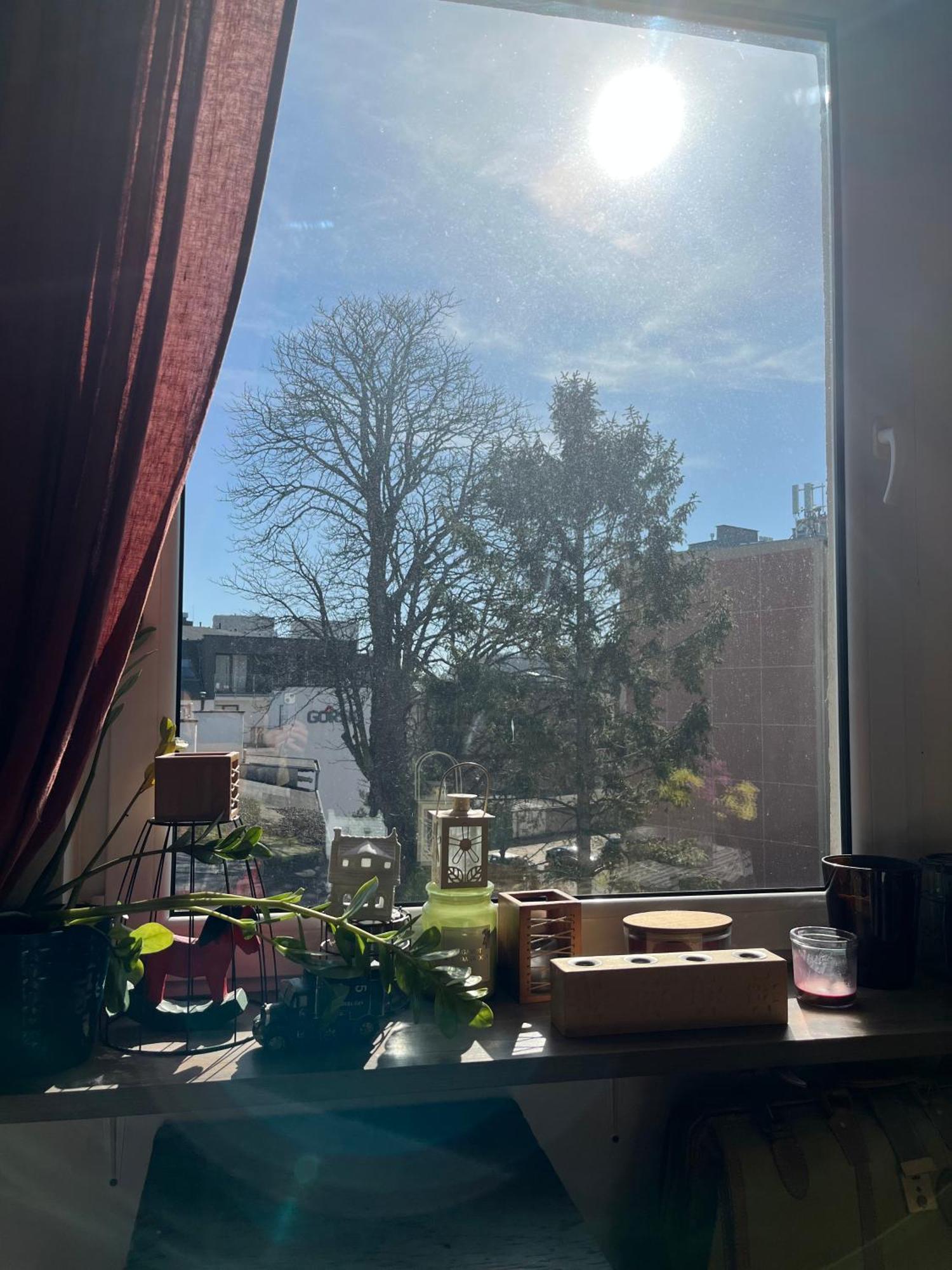 Homestay Vinyl Gdansk