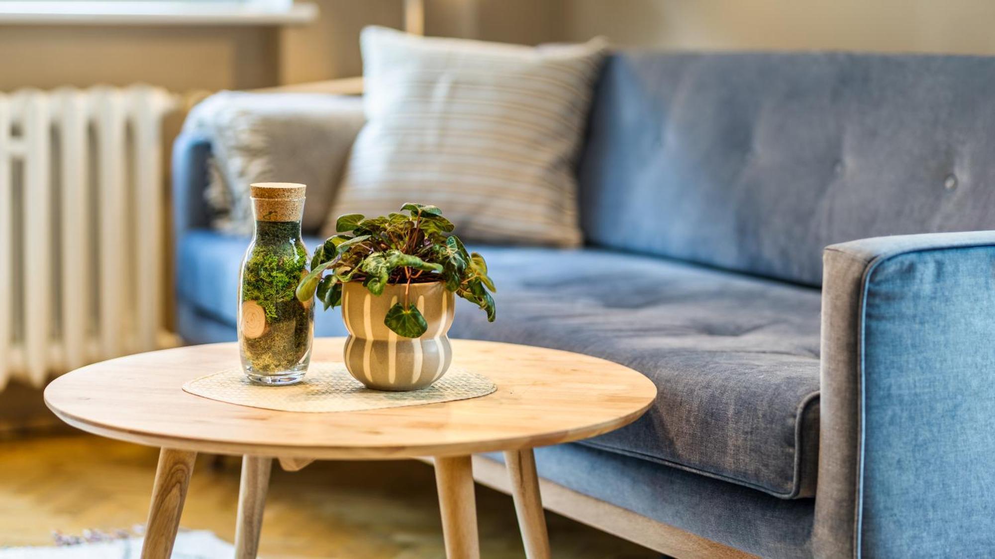 Citystay Uroczy Blisko Starego Miasta Căn hộ *