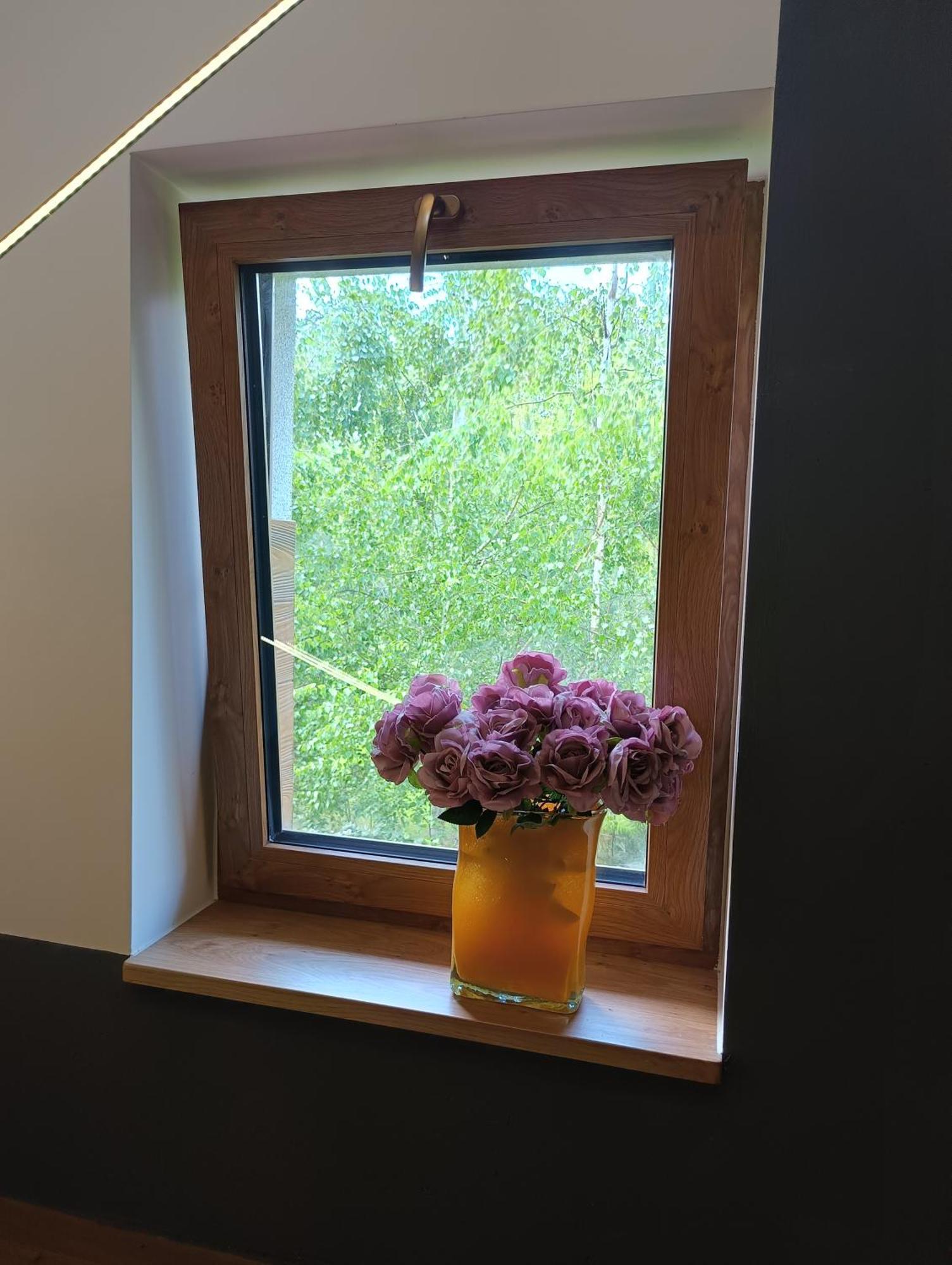 Aster Aparts Wyspa Sobieszewska Lejlighed *