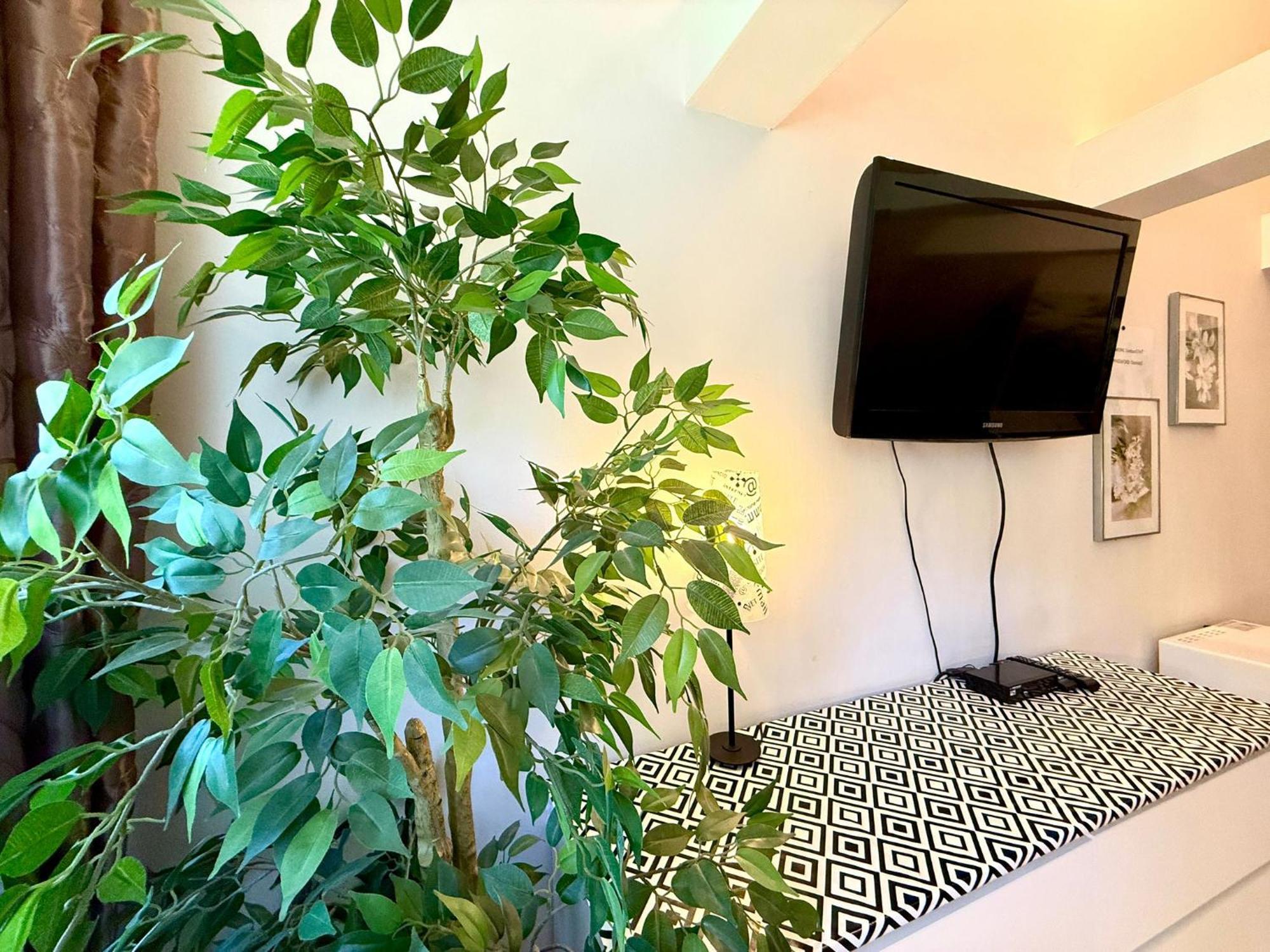 Zielony Zakatek Apartment