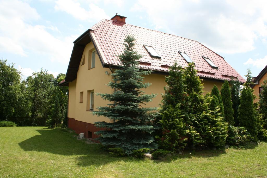 Wynajem Pokoi Kofeina Homestay Gdansk