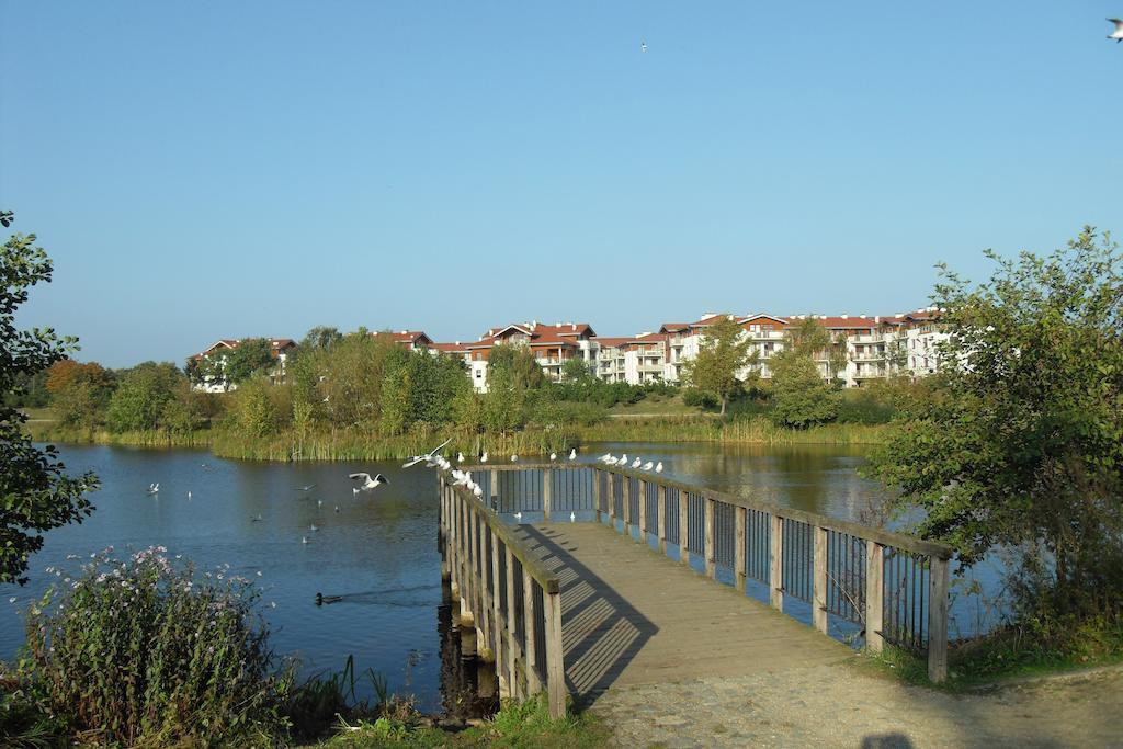 Apartment Neptun House
