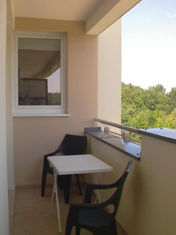 Homestay Guesthouse Baltic *